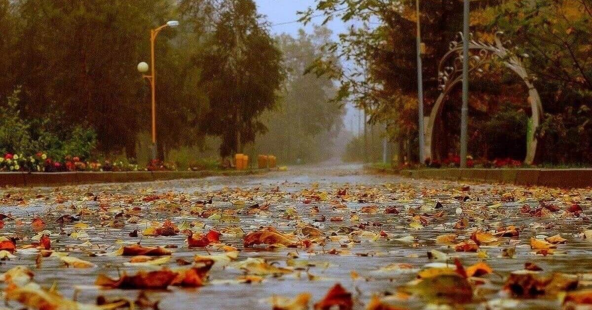 ашық дереккөздерден