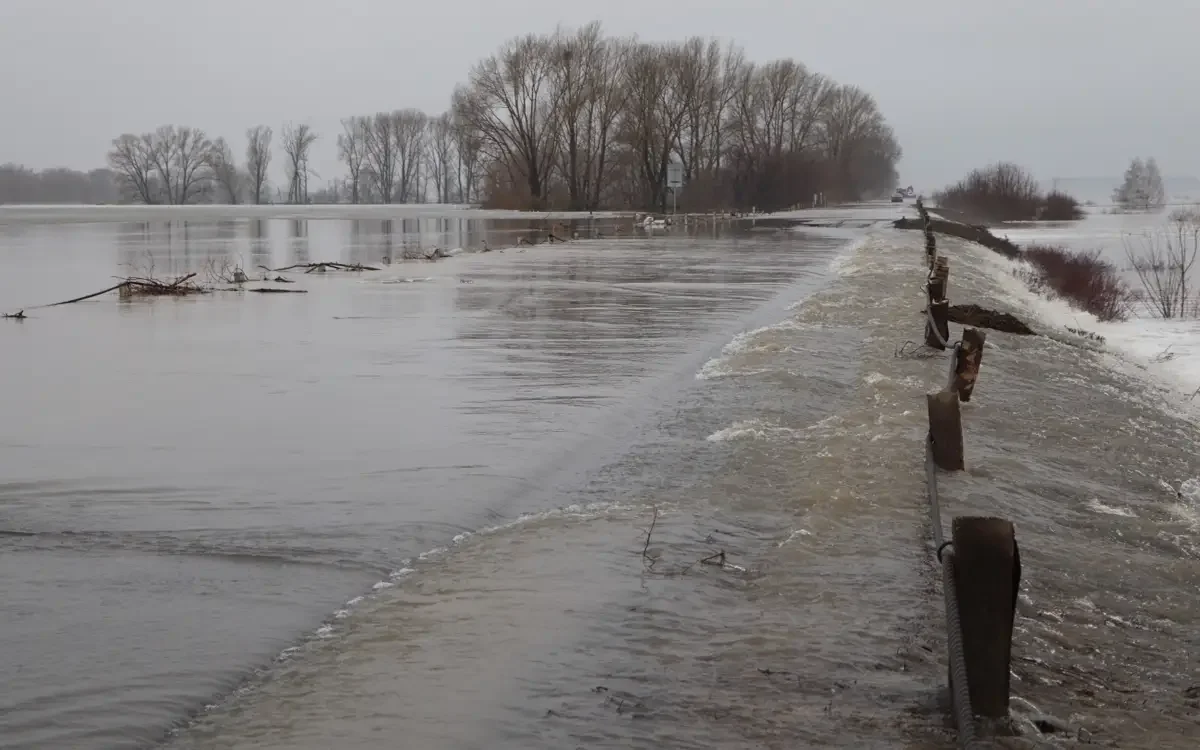 Фото: Мәжіліс