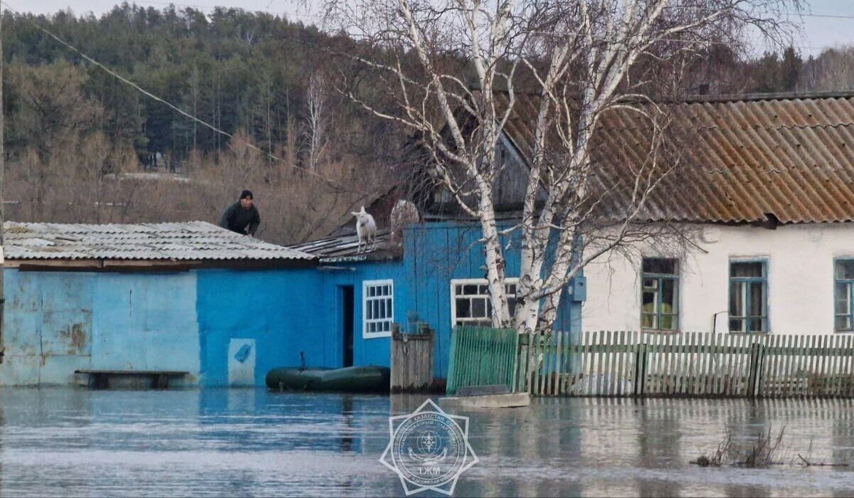 ТЖМ