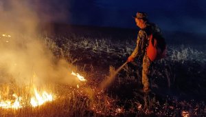 Еліміздің бірнеше елді мекенінде өрт орман алқабына жетпей сөндірілді