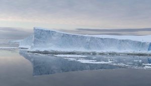 Жақында планетадағы ең үлкен айсбергтің тағдыры шешіледі – ғалымдар
