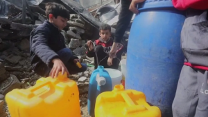 Газадағы гуманитарлық дағдарыс: Тұрғындар мал азығымен тамақтанып жатыр