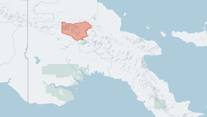 Папуа-Жаңа Гвинеядағы тайпалар арасындағы атыста 64 адам қаза тапты