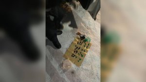Ақтөбе облысында полицейлер жас жігіттен 500 дозадан астам есірткі тапты