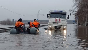 Жұқпалы аурулардың алдын алу: қарғын суға малынған тағамдарды пайдалануға тыйым салынды