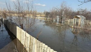 Елімізде су тасқынынан жеті адам қаза болды