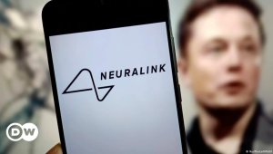 Neuralink екінші еріктінің миына чип салуға рұқсат алды